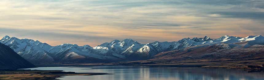 _IM电竞 - 专业电竞比赛直播与竞猜平台